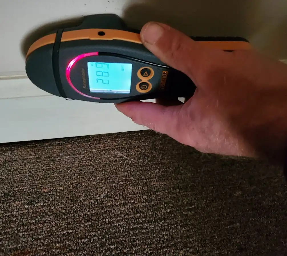 Moisture detection at baseboard during Mold Inspection & Testing in Osceola
