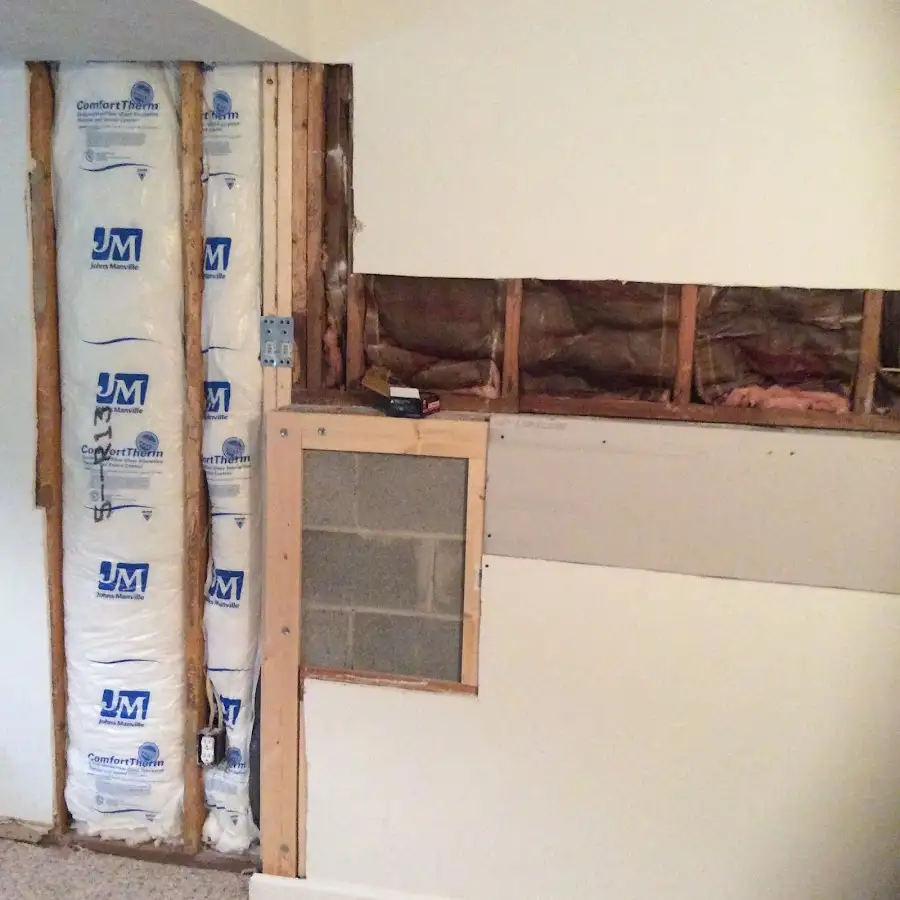 Wall insulation replacement during Odor Removal & Deodorization in Osceola